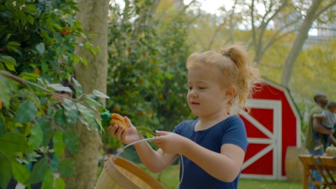 Raised and Rooted Nugget Picking