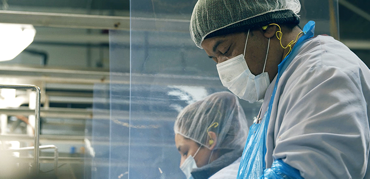 Team Member in Safety Gear at Production Line